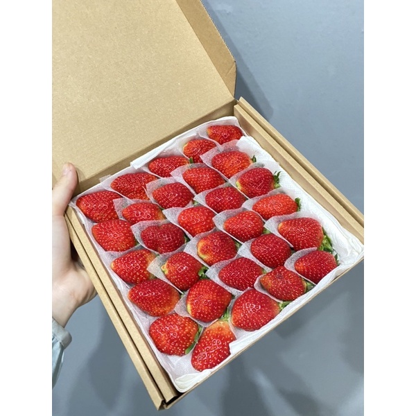Dâu tây giống Nhật Sky VIP 25-30 trái NGỌT đậm, Thơm ngon, mọng nước.