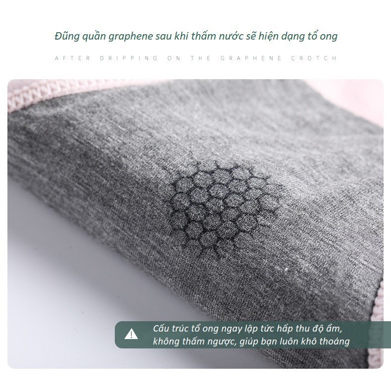 Quần Lót Nữ Cotton Kháng Khuẩn Phong Cách Nhật Bản Thông Khí Thấm Hút Mồ Hôi Mềm Mại Co Giãn Tốt P404 | BigBuy360 - bigbuy360.vn