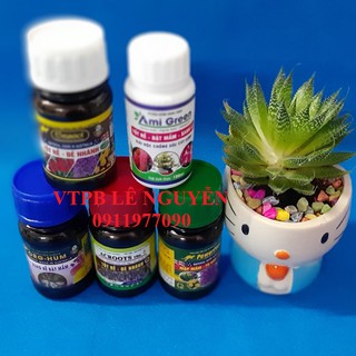 COMBO THẦN THÁNH CHO LAN
