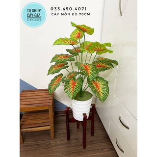 Cây môn đỏ 70cm- cây giả