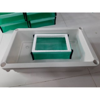 lồng đẻ cá bảy màu (guppy)