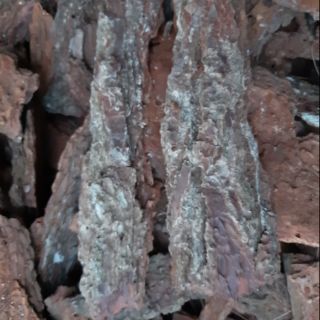 1kg vỏ thông trồng lan