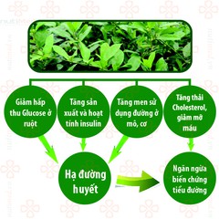 TRÀ DÂY THÌA CANH LAVA ( Hộp 30 túi)