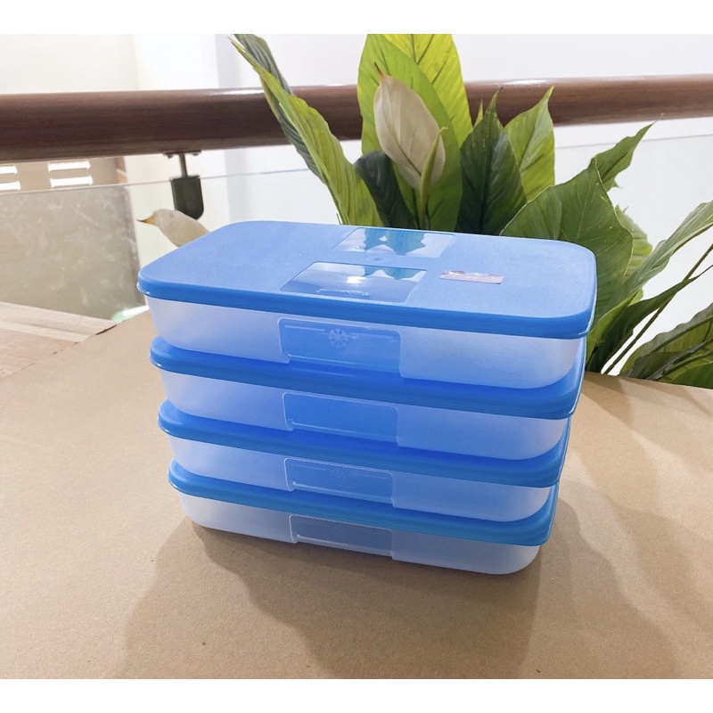 Hộp trữ đông dẹt Tupperware 650ml