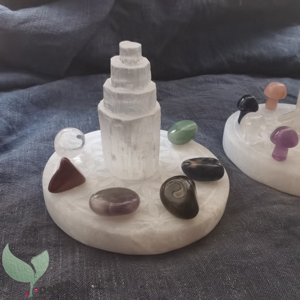 Đĩa Sạc In Hình Hoa Màu Trắng 10Cm