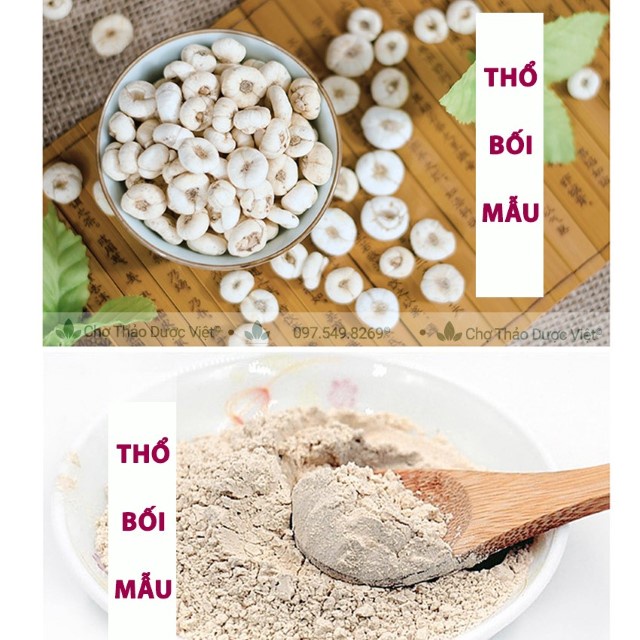 Thổ bối mẫu 100g