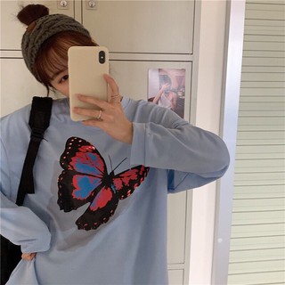 sweater bướm xanh