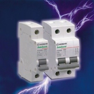 Cầu dao tự động 2 cực (2P) SINO VANLOCK 20-63A