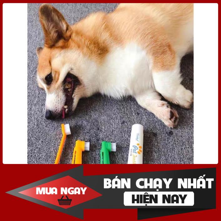 [❌GIÁ SỈ❌] [ RẺ VÔ ĐỊCH ] Bộ bàn chải kem đánh răng cho thú cưng thơm miệng chống sâu răng cao cấp ❤️