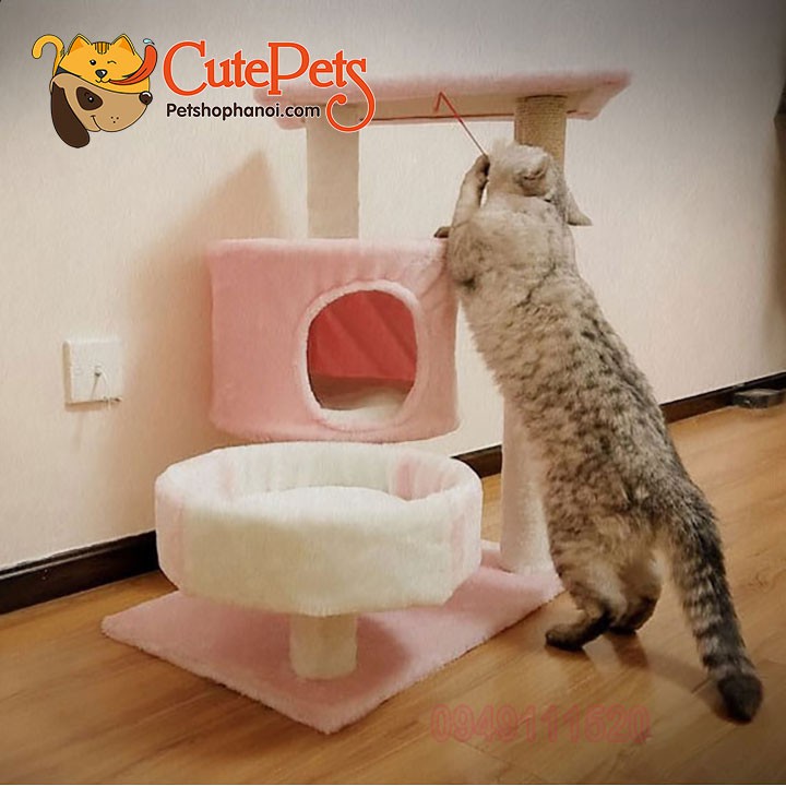 Nhà cây cho mèo Cat Tree 60x40x70cm Trụ cao móng dành cho mèo - Cutepets