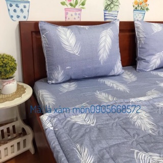 Bộ ga gối cotton 100% 4 món mềm mát chuẩn LOGO chính hãng (1 ga 2 vỏ nằm và 1 vỏ ôm)