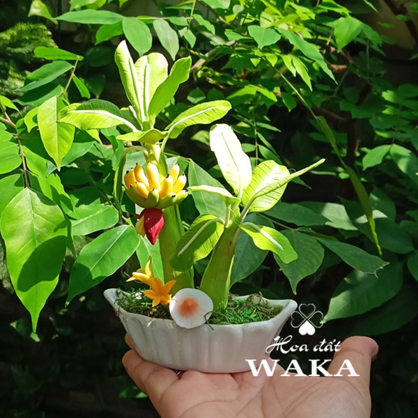 Hoa Đất Sét Mini-Cây Chuối Mini