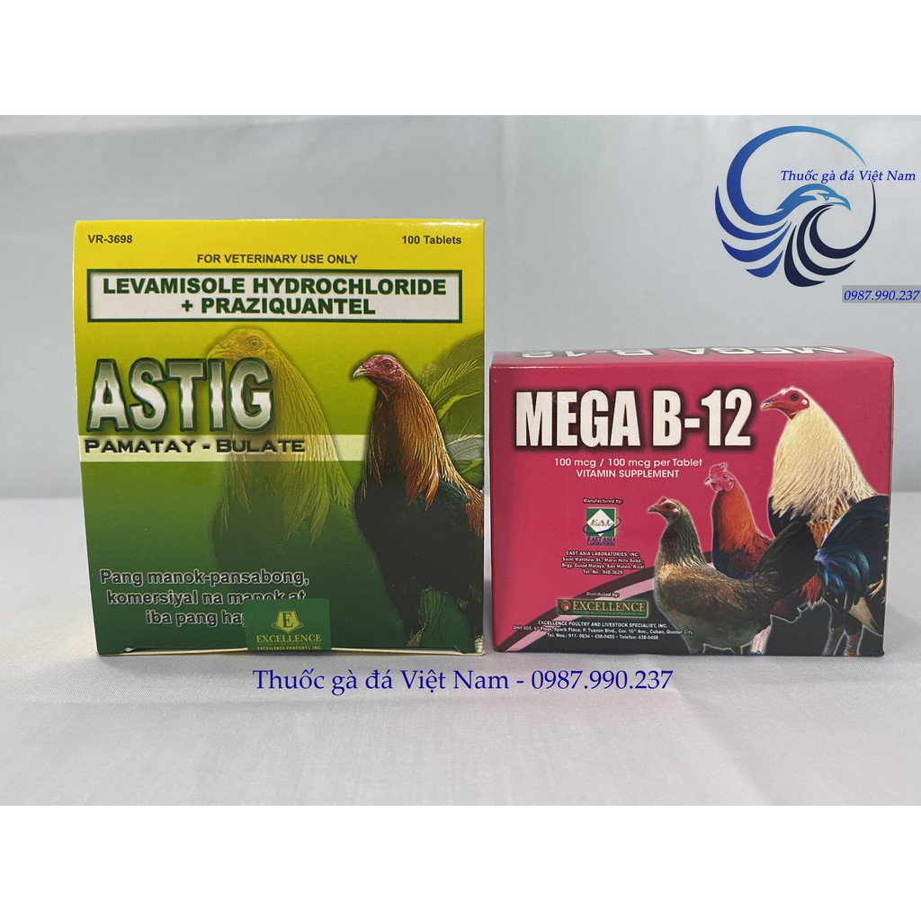 Combo 01 hộp MEGA B12 + 01 hộp ASTIG cho gà đá