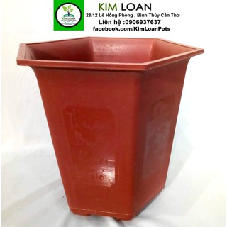 Combo 4 chậu lục giác đỏ 32x32cm