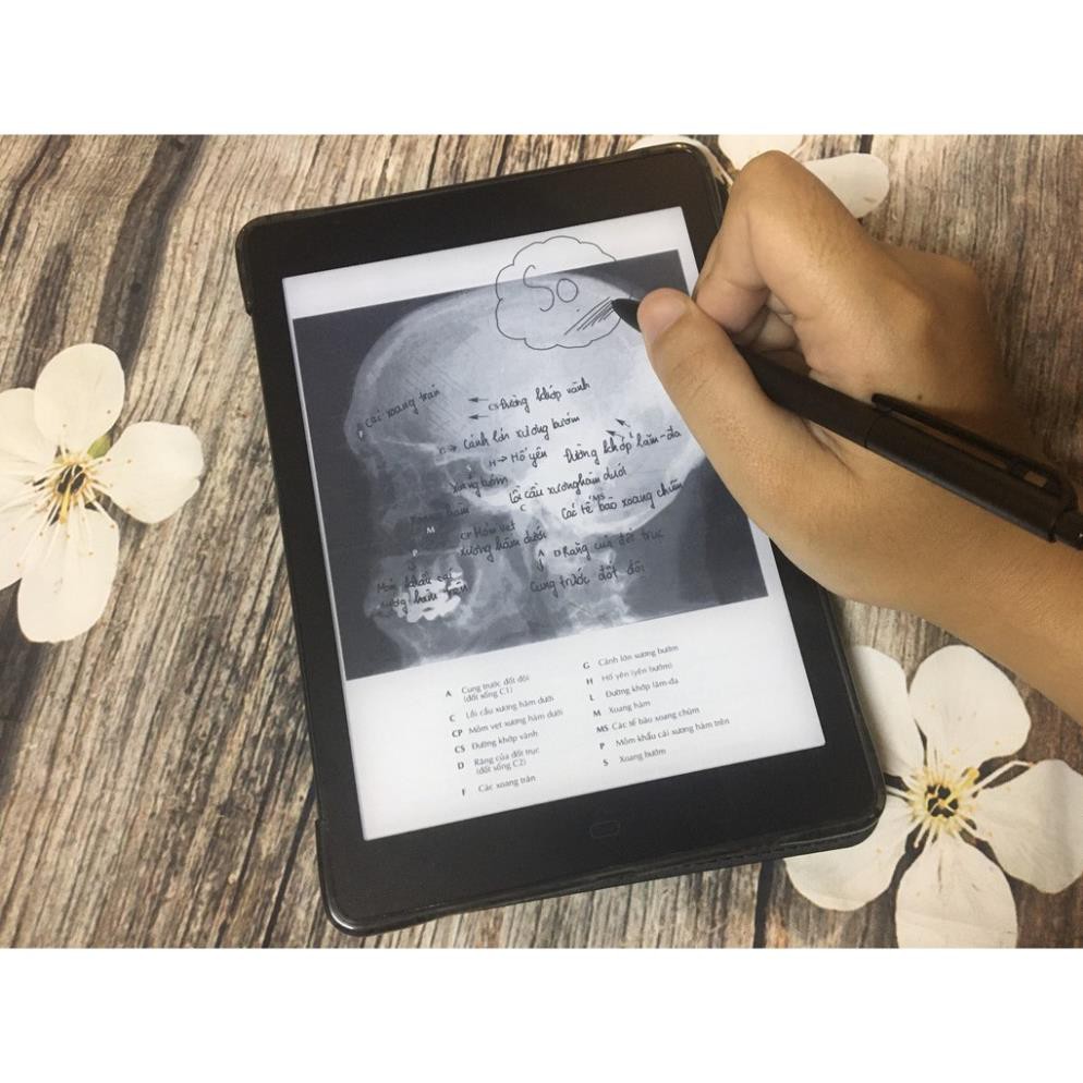Dán màn hình Máy đọc sách Likebook Ares - Hàng chính hãng