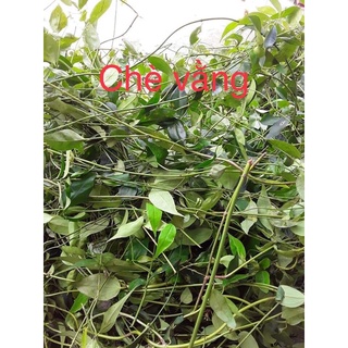 Chè vằng sẻ Nghệ An