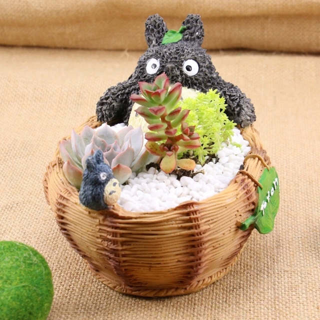 Chậu sen đá totoro