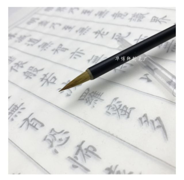 Tiểu khải lang hào.