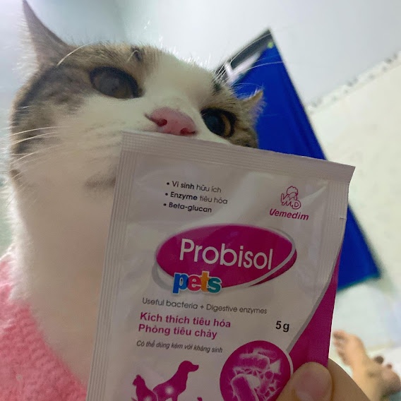 Men tiêu hóa Probisol Pets cho chó mèo gói 5g