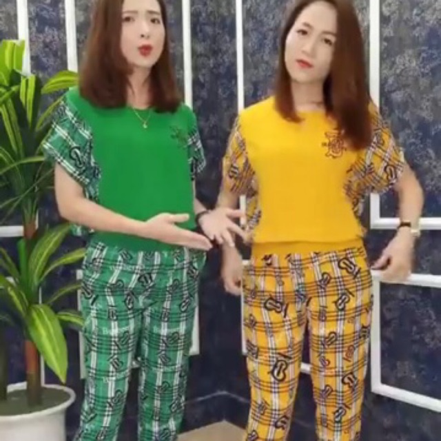 Bộ đũi thiên tơ