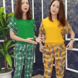 Bộ đũi thiên tơ