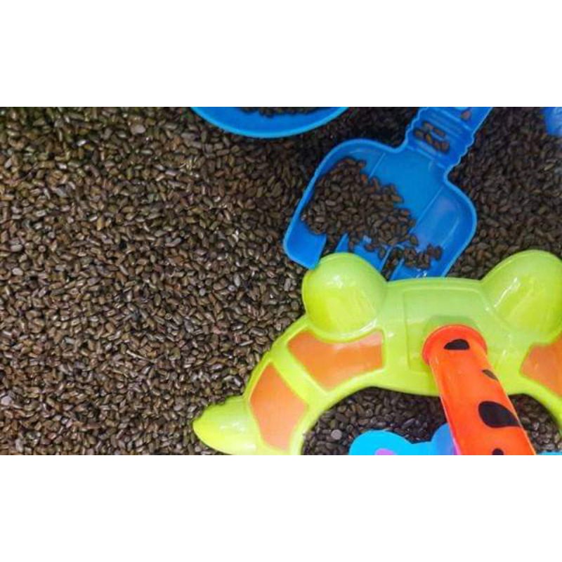 Combo 3 kg hạt muồng  hàng xuất khẩu