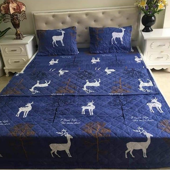 Bộ chăn ga gối poly 5 món chăn trần hè đủ mọi kích thước