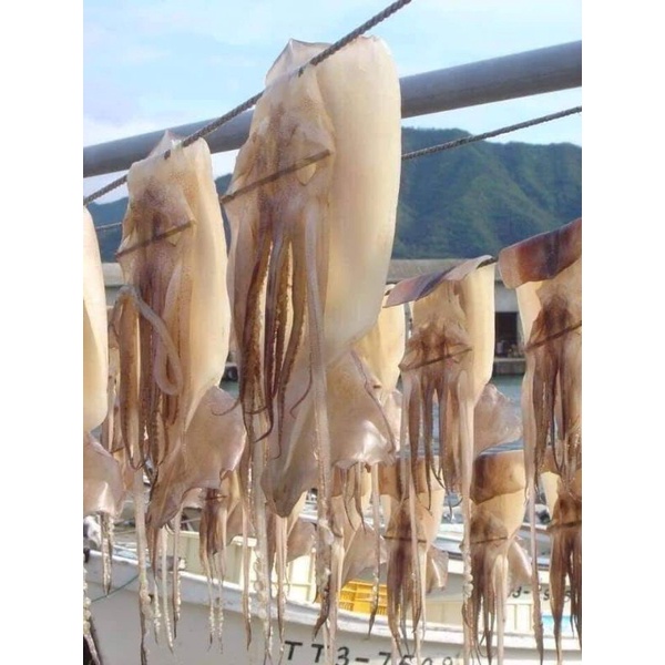 MỰC 1 NẮNG CÔ TÔ ( size 2-3 con 1kg net đủ không mạ đá)