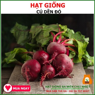 HẠT GIỐNG CỦ DỀN TRANG NÔNG - 5gram