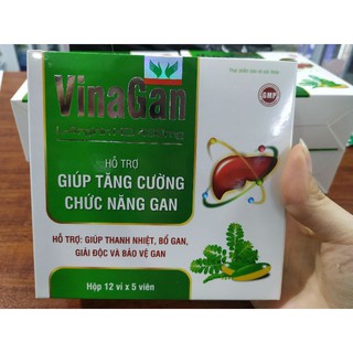 (Chính hãng 💯) Viên uống bổ gan Vinagan giải rượu, bảo vệ gan (Bác sỹ khuyên dùng)