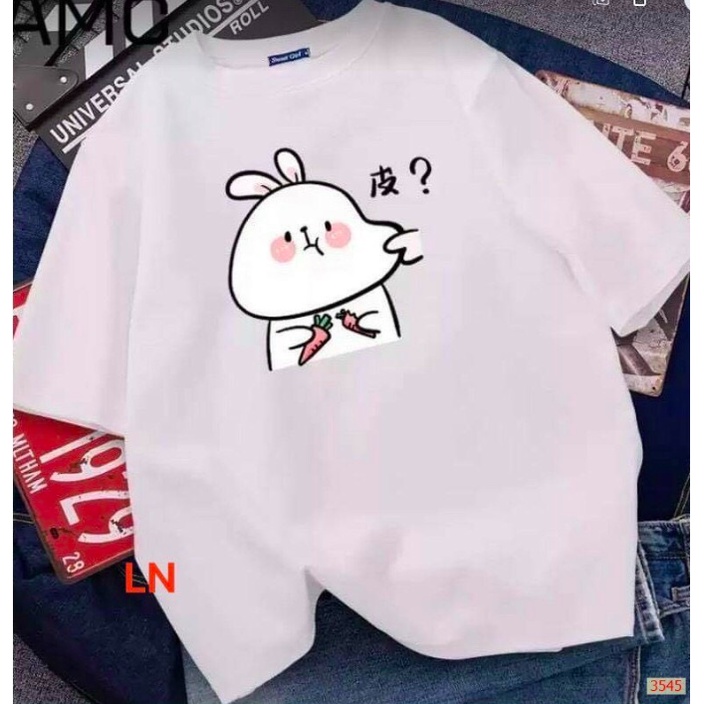 Áo phông thỏ cà rốt bẹo má HARIQUEEN