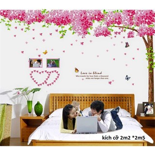 Decal dán tường cây anh đào