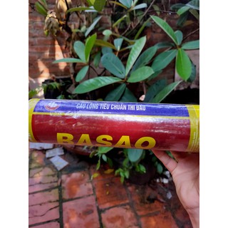CẦU Lông BA SAO
