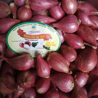 Hành tím lý sơn chính hiệu
