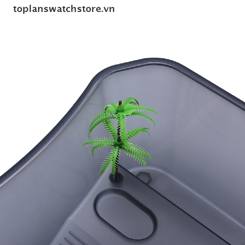 Hộp Nuôi Rùa / Rùa / Bò Sát Có Bệ Đỡ Đứng