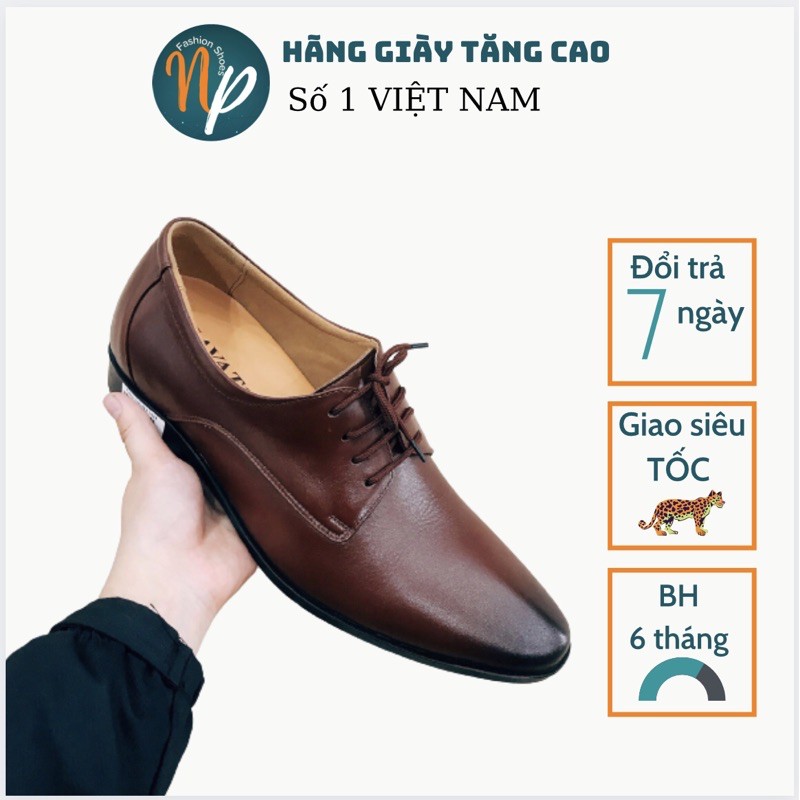 Giày tây tăng cao buộc dây hai màu đen và nâu tại NoPo