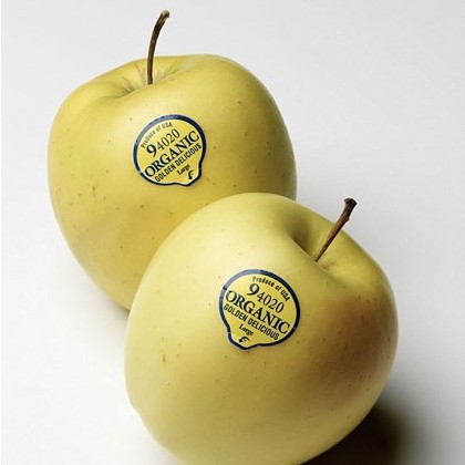 In Tem Giấy Dán Hoa Quả Theo Yêu Cầu In Tên Thương Hiệu Logo Xưởng In MoPh In Decal Màu Sắc Nét Giao Hàng Nhanh Rẻ Đẹp