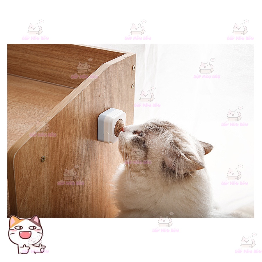 Cỏ Mèo nén xoay dán tường 3 vị hấp dẫn cho Mèo chơi đùa giảm stress