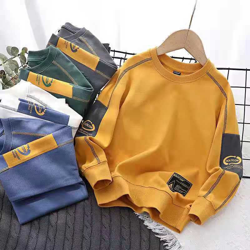 Áo hoodie cổ tròn xuân thu trẻ em thường ngày có vòng bông cho bé trai chui đầu dễ phối đồ lớn vừa mùa 2021