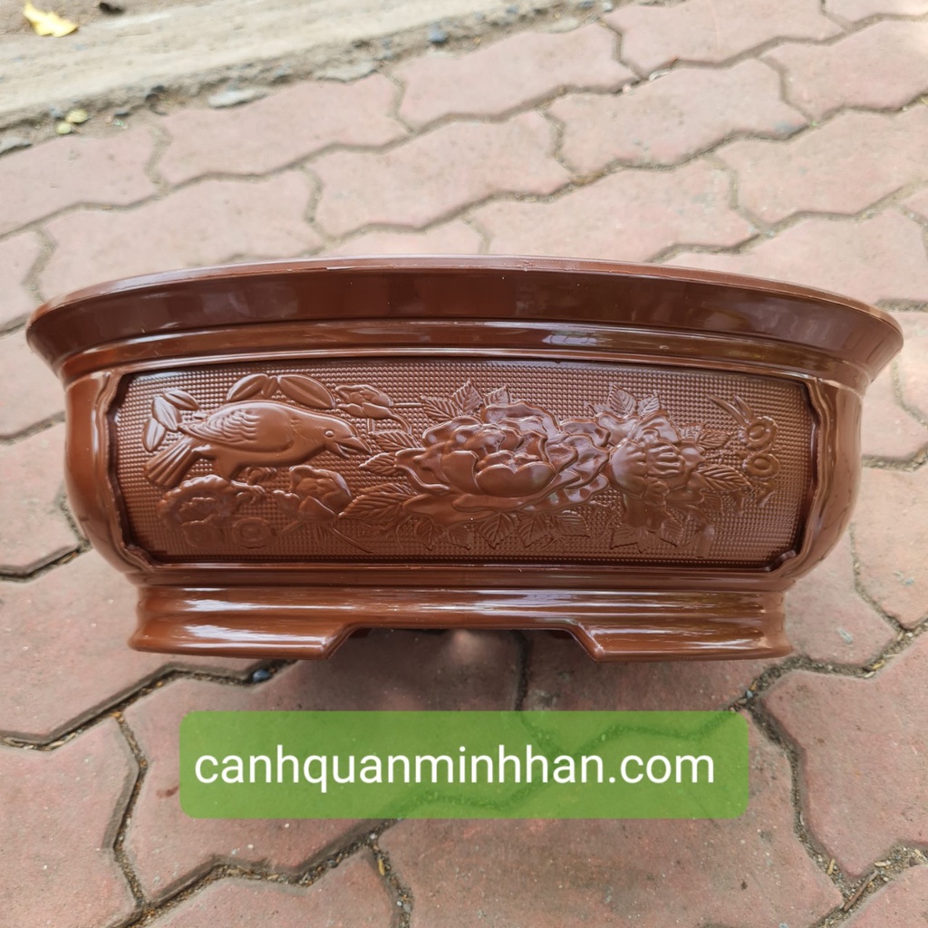 Chậu bonsai mini nhựa, chậu bonsai nhựa hình ovan trồng cây phù hợp cho các loại cây bonsai, cây mini Minh Hân Garden