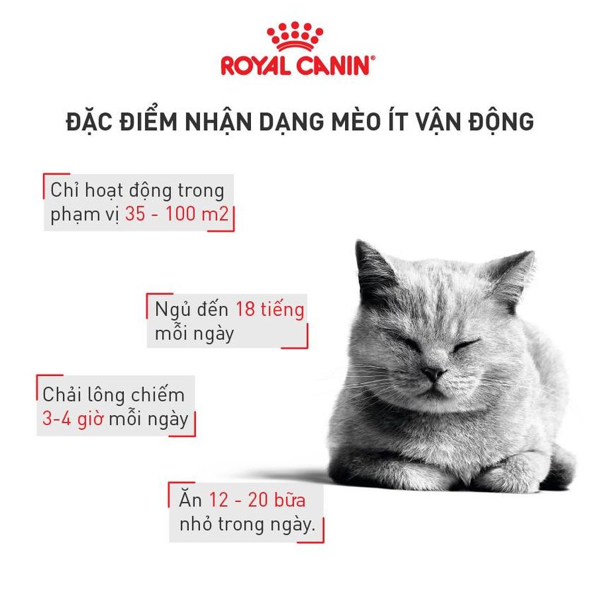 Thức ăn cho mèo trưởng thành trên 12 tháng tuổi Royal Canin Indoor 2kg sản xuất tại Pháp