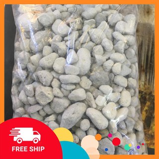 Seachem Matrix - Vật liệu lọc cao cấp cho bể cá