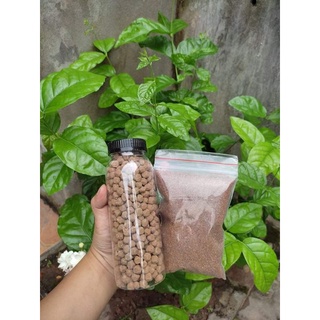 Set trân châu đường đen 500g