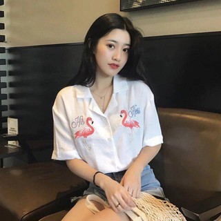 Sơ mi Hạc QC