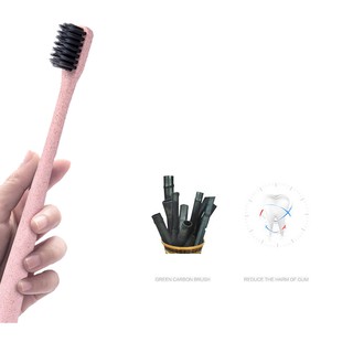 Bộ 10 bàn chải đánh răng chất liệu lúa mạch