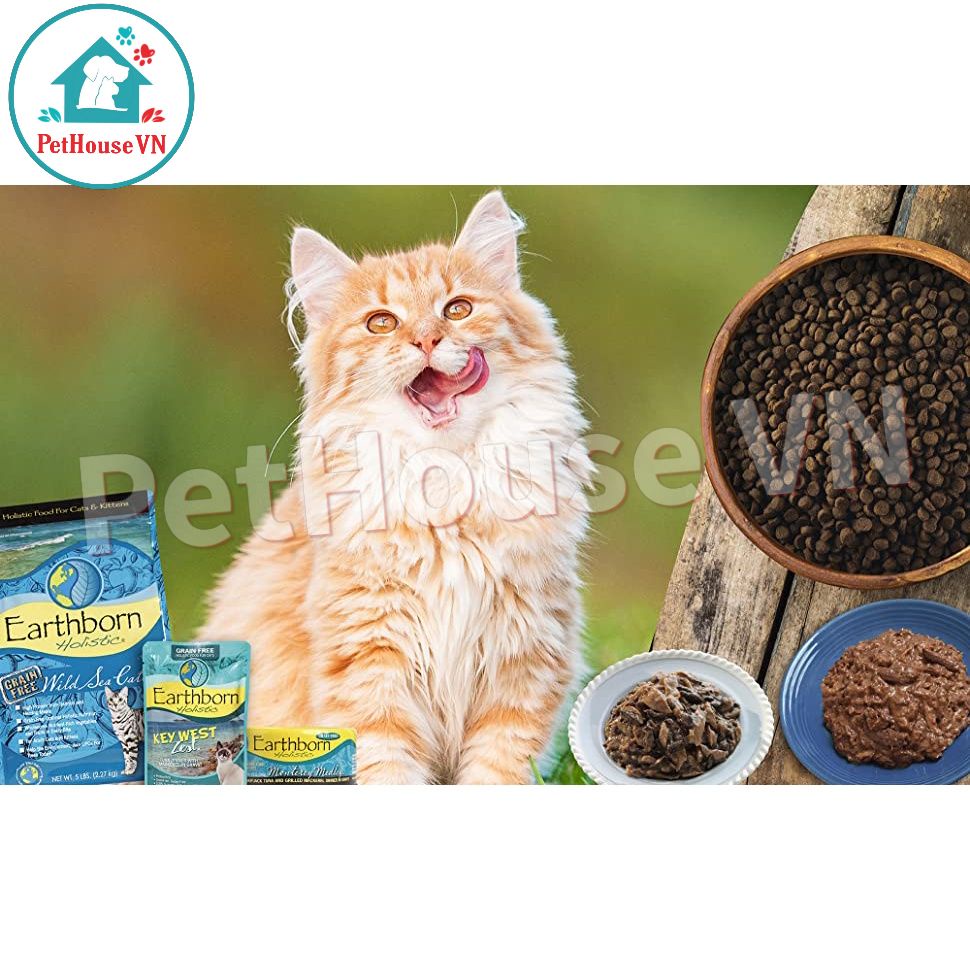 EARTHBORN WILD SEA CATCH - Bao 6Kg Thức Ăn Hạt Cho Mèo Và Mèo Con Vị Cá Hồi & Cá Trích Hàng Chính Hãng
