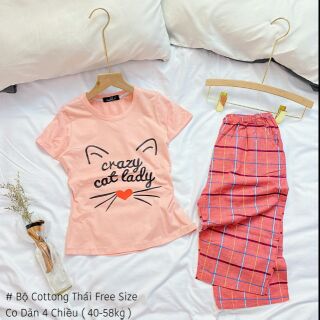 Bộ ngố cotton thái