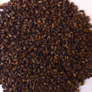 Hạt muồng chơi xúc cát (1kg)