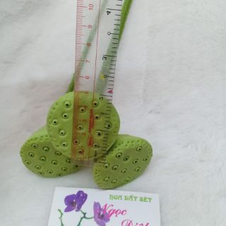 3c GƯƠNG SEN làm bằng ĐẤT SÉT (60CM)