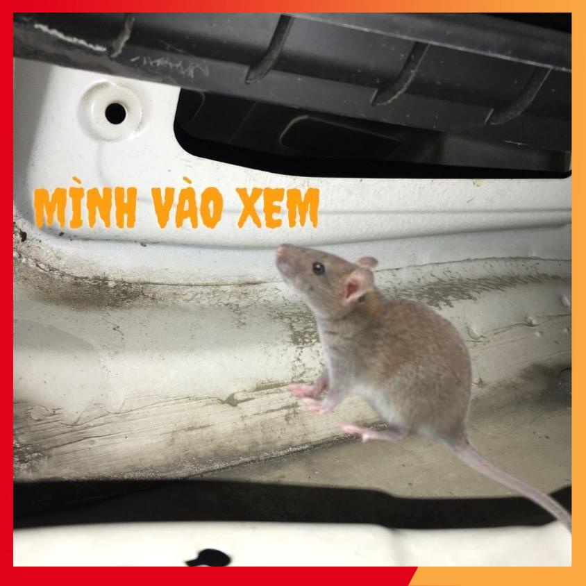 Lưới chống chuột KIA SORENTO 2015-2021, TẤM CHẮN CHUỘT KHOANG LÁI SORENTO BỀN ĐẸP HIỆU QUẢ VÀ AN TOÀN.